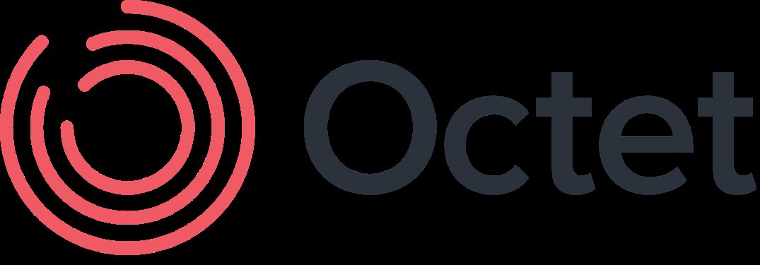 Octet KOBİ yapılanmasını bölgesel ekiplerle genişletti