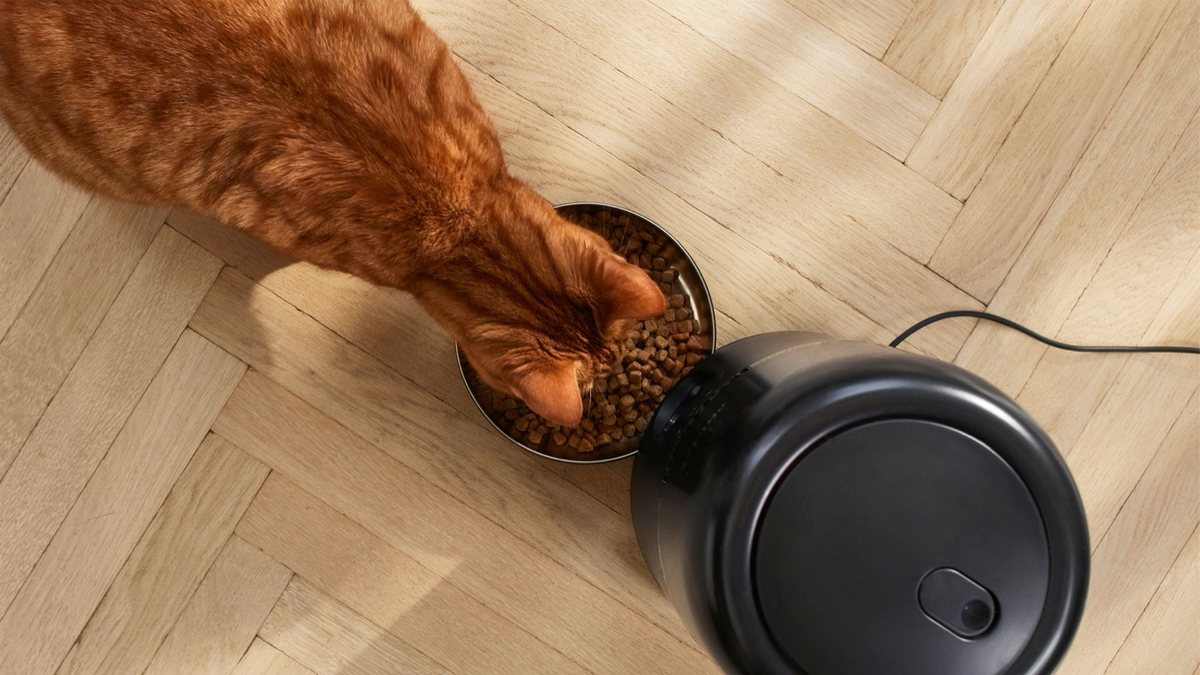 Philips akıllı evcil hayvan ürünlerini Türkiye'de sunuyor