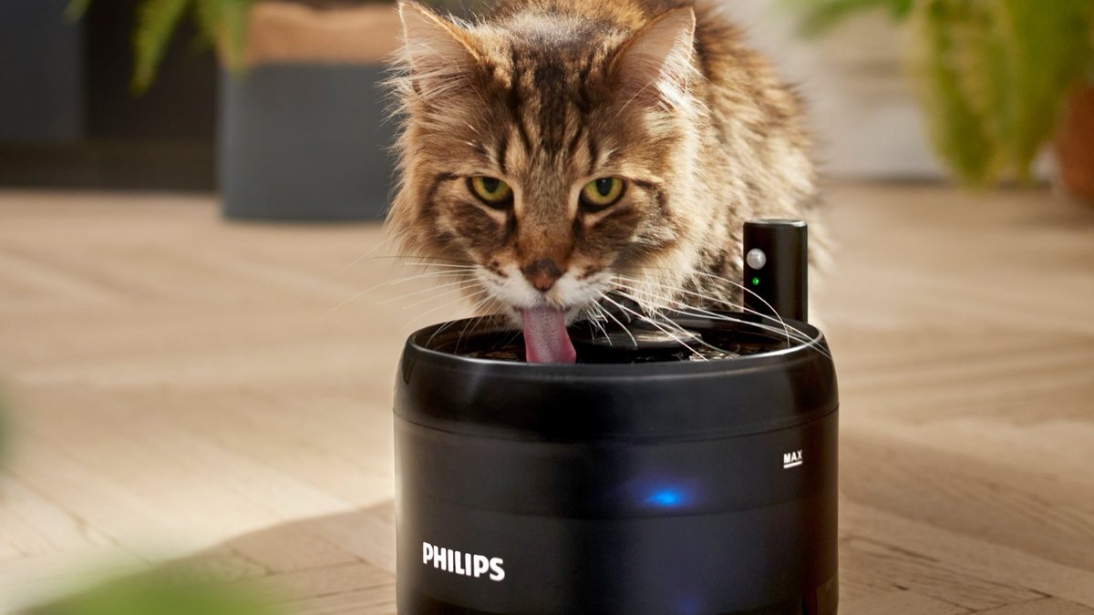 Philips akıllı evcil hayvan ürünlerini Türkiye'de sunuyor