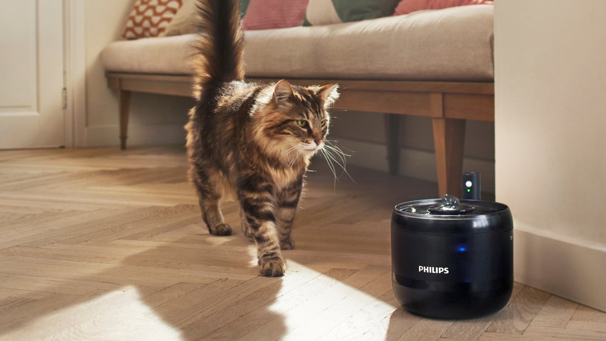 Philips akıllı evcil hayvan ürünlerini Türkiye'de sunuyor