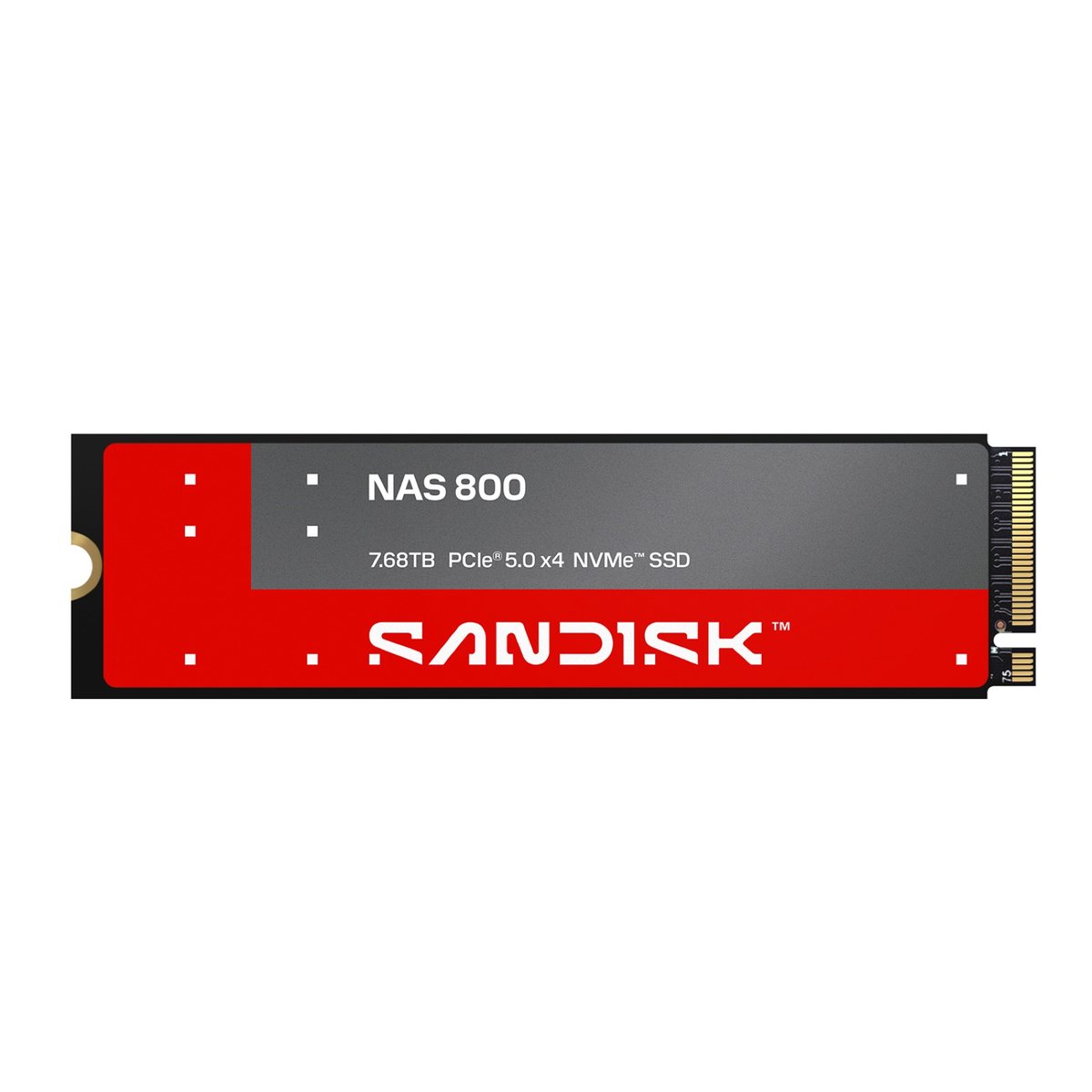 Sandisk iki yeni NAS sürücüsünü duyurdu