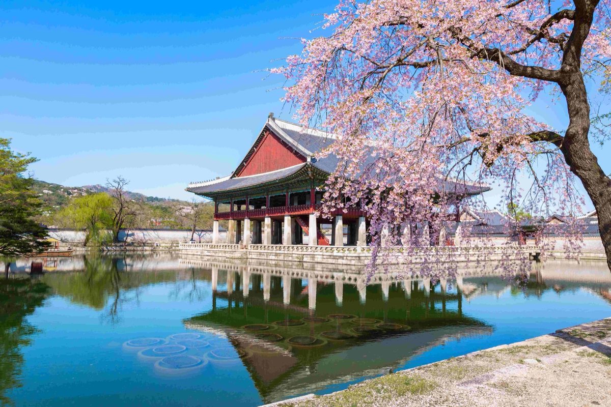 ENUYGUN Japonya ve Güney Kore bilet satış artışını açıkladı