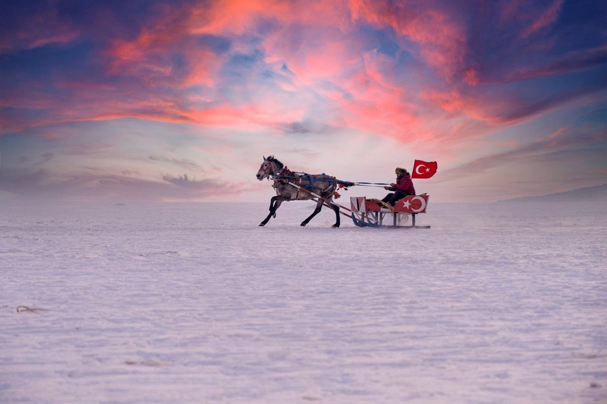 TGA 81 ilin Go ve Gezsen hesaplarını birleştirdi