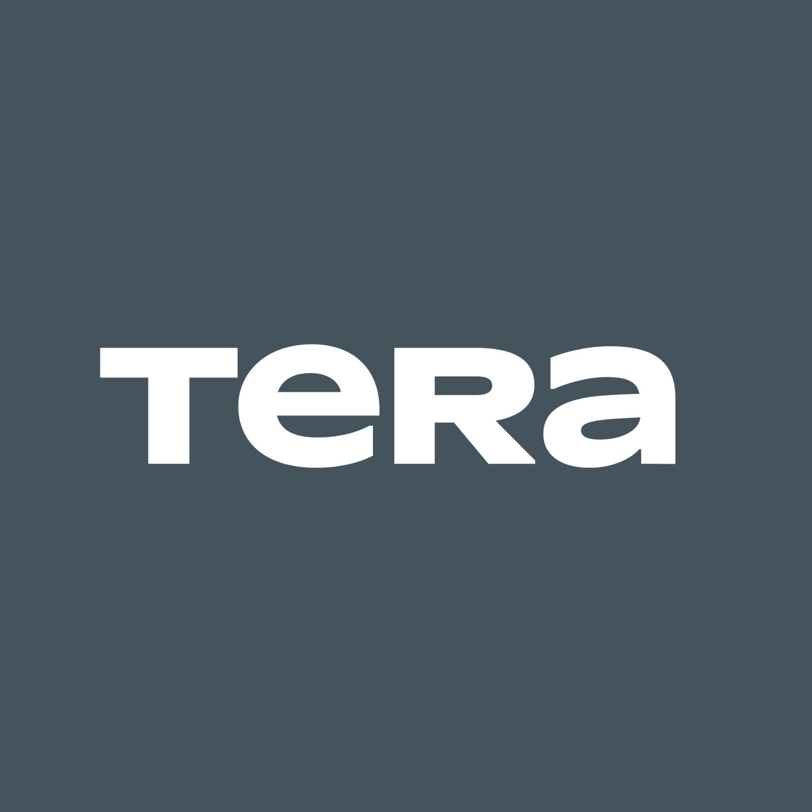 Koyu kurşuni zemin üzerinde beyaz "TeRa" yazılı kelime logosu