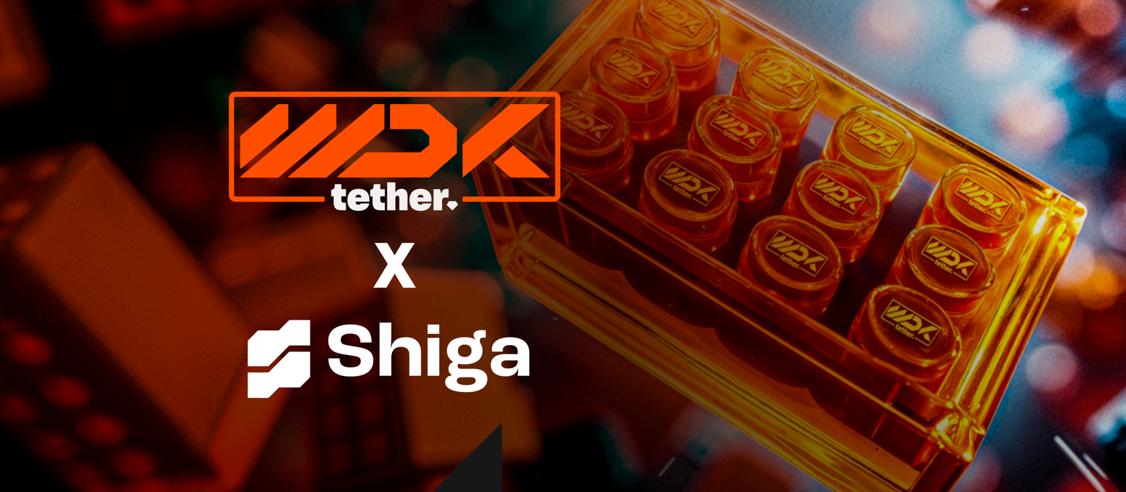 Tether ve Shiga, Afrika ve Körfez için finansal ürün geliştirecek